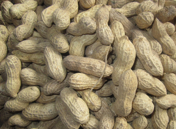 Raw peanut