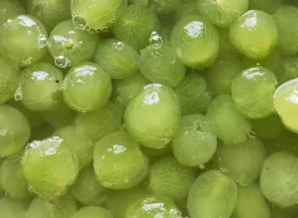 frozen grape